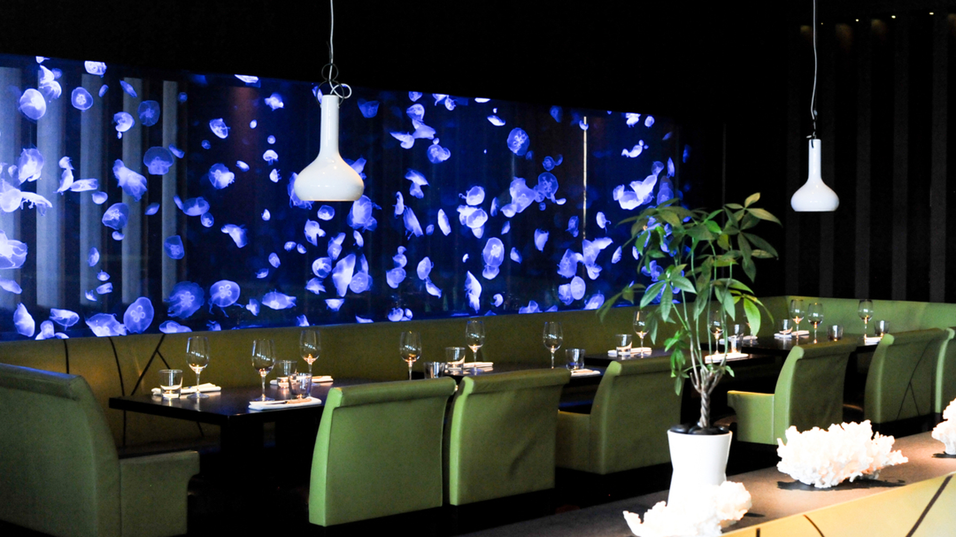 Modern restaurant with green booths, glowing jellyfish aquarium, white pendant lights, and decorative elements.