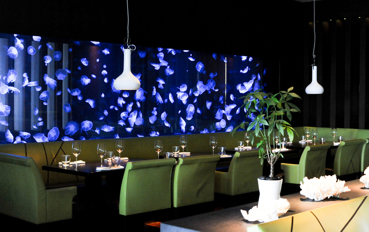 Restaurant interior with green booths, blue jellyfish visuals on wall, white table settings, and white pendant lights.
